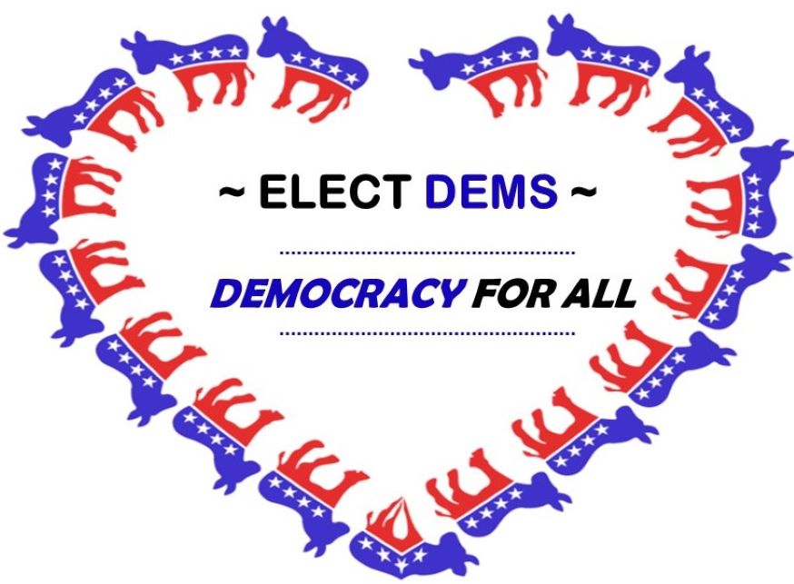 Elect Dems Mission sz(2)